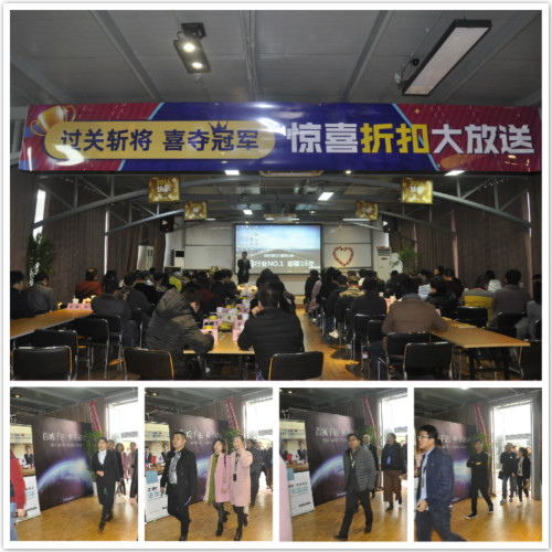 峰会参会嘉宾们入场